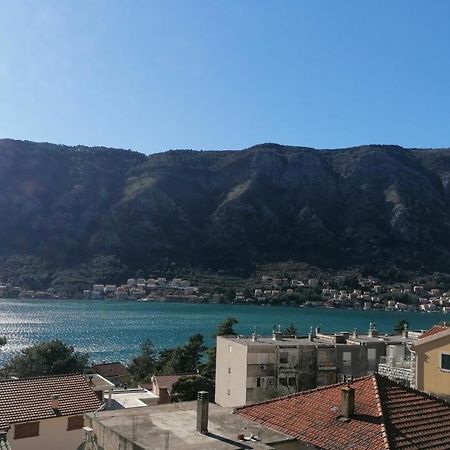 Albatros Daire Kotor Dış mekan fotoğraf