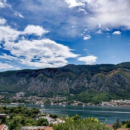 Albatros Daire Kotor Dış mekan fotoğraf