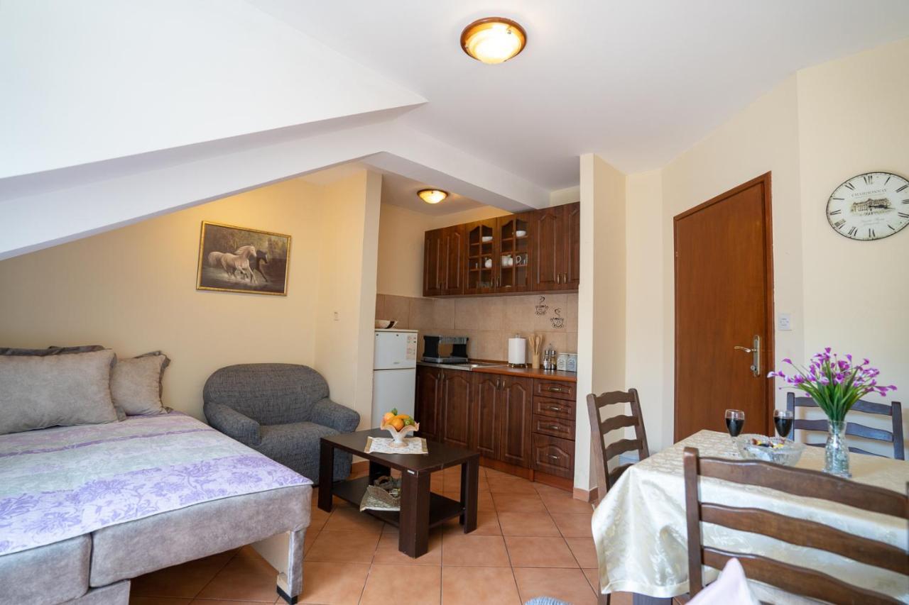 Albatros Daire Kotor Dış mekan fotoğraf
